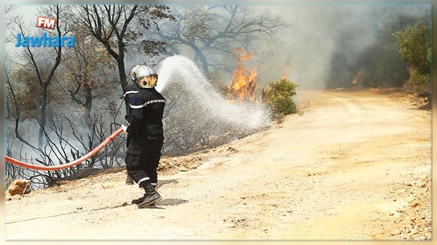 الكاف : السيطرة على 3 حرائق