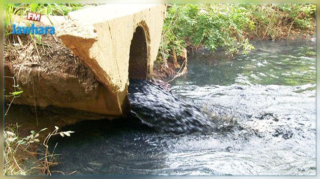 استخدام مياه الصرف الصحي في الري : مسؤول يحذّر من مخاطر هذه الممارسات 