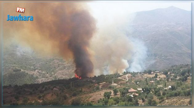الجزائر : وفاة شخصين في حريق بجبال سكيكدة