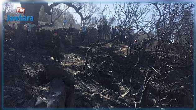 القيروان : السيطرة على حريق جبل السرج