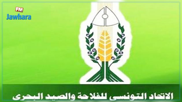 وفاة رئيس الاتحاد المحلي للفلاحين بالقصر دهسا