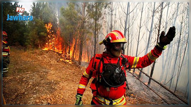 البرتغال تطلب المساعدة لمكافحة الحرائق