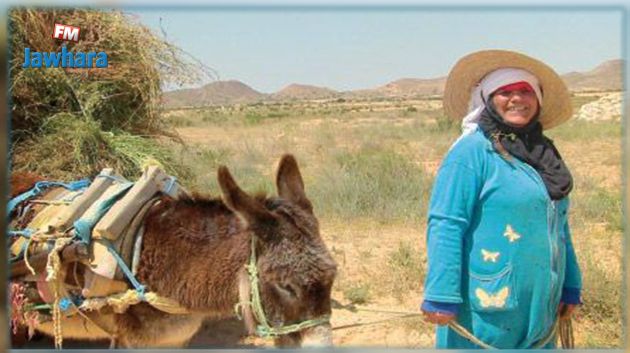بكلفة 53 مليارا : تفاصيل الإستراتيجية الوطنية للمرأة الريفية 