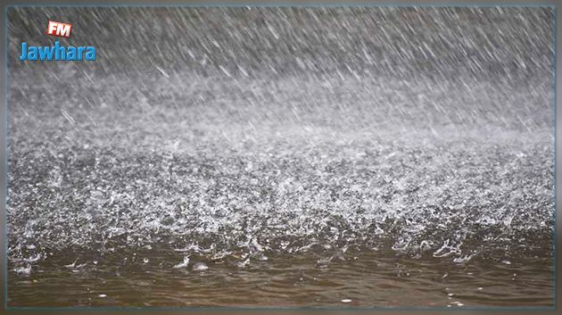 ديوان التطهير يستعد لـ