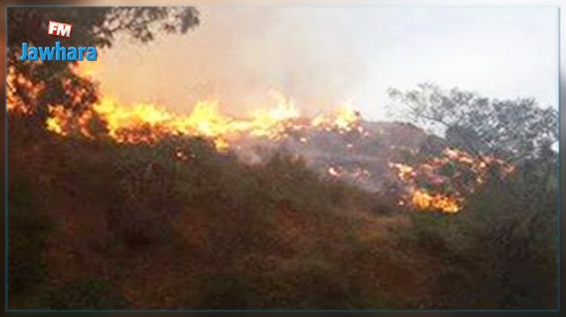 اندلاع حريق في الكاف