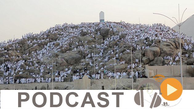 نشرة أخبار منتصف الليل ليوم الخميس 31 أوت 2017