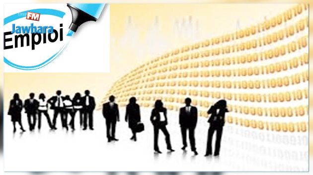 سيدي بوزيد : انتفاع 5858 متربصا بمختلف برامج التشغيل