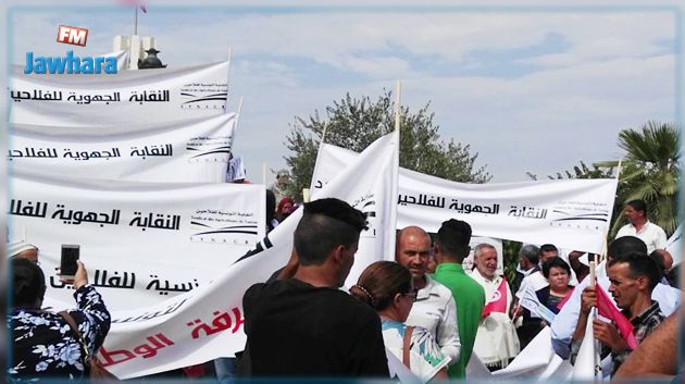 يوم غضب للفلاحين