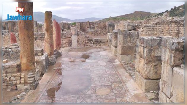 حفريات أوروبية لدراسة 