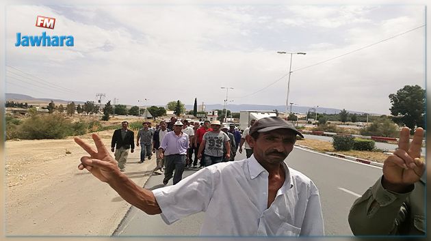 17 كلم مشيا على الأقدام : مسيرة احتجاجية لعمال شركة فلاحية في سليانة 