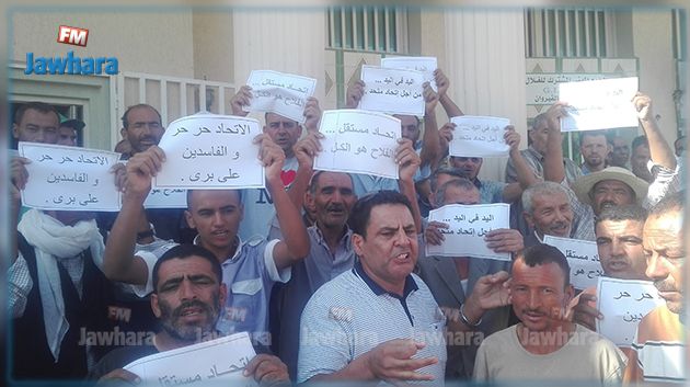 القيروان : الفلاحون يتّهمون الاتحاد الجهوي للفلاحة بممارسة سياسة الإقصاء