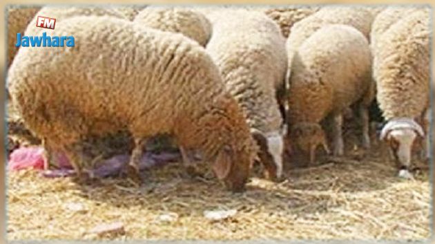 المهدية : تسليم مشروع إدماج لطفل مغادر للإصلاحية