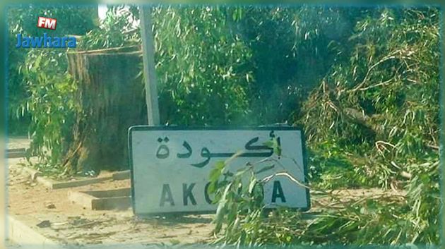 أكودة : احتجاجات بسبب قطع الأشجار