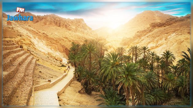 تونس تراهن على السياحة الاستشفائية والجبلية والصحراوية