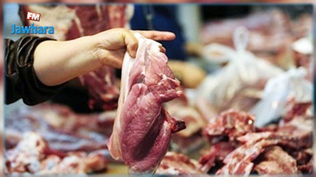 شوقي الطبيب :