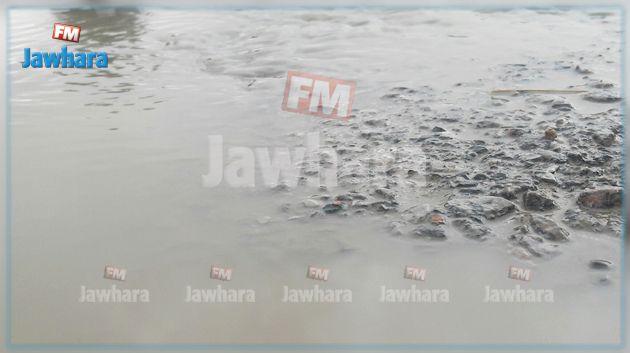 جندوبة : أمطار غزيرة والمياه تغمر المنازل والطرقات