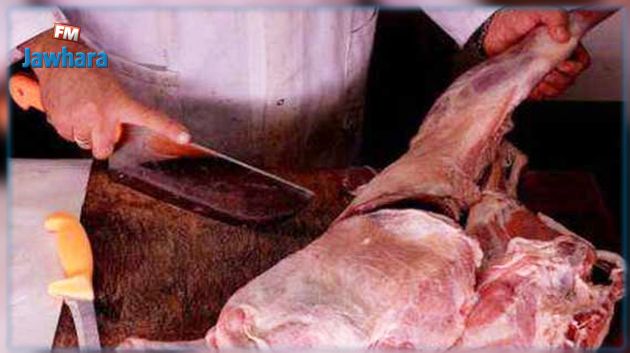 ايقاف جزار متهم بذبح بقرة مصابة بالسل ببنزرت