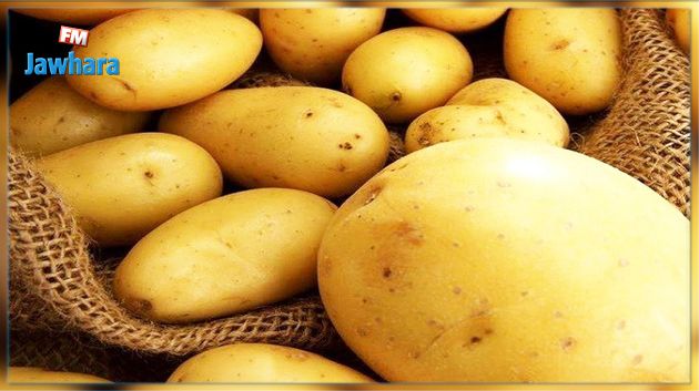 حجز 5 أطنان من البطاطا المهربة في المنستير