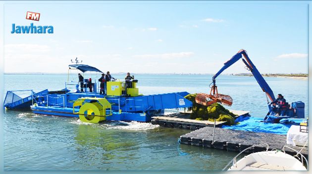 آلة جديدة لإزالة الطحالب ببحيرة العاصمة 