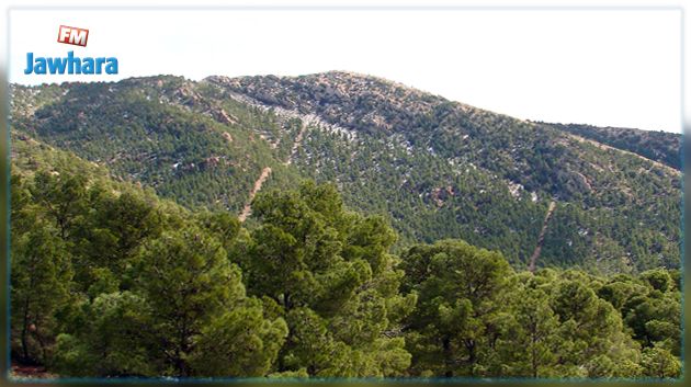 مصادر أمنية : غابات وجبال الكاف خالية تماما من الإرهابيين