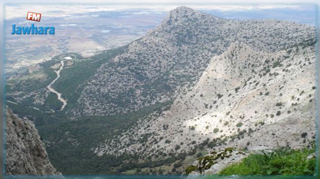 وزارة الفلاحة تلغي نشاط جمعية دعوية في منطقة جبلية 