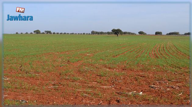 الدولة تسترجع 10 هكتارات من أراضيها بباجة