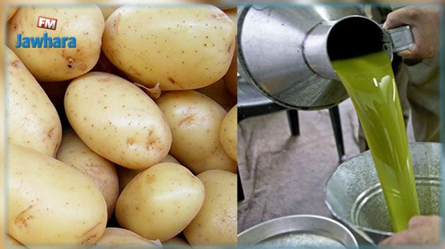 وزير التجارة : أسعار البطاطا وزيت الزيتون ستنخفض في غضون 10 أيام