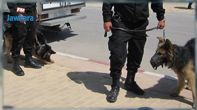 المدير الجهوي للحماية المدنية بقابس : فرقة الأنياب تشارك في عملية البحث عن معتمد مطماطة الجديدة
