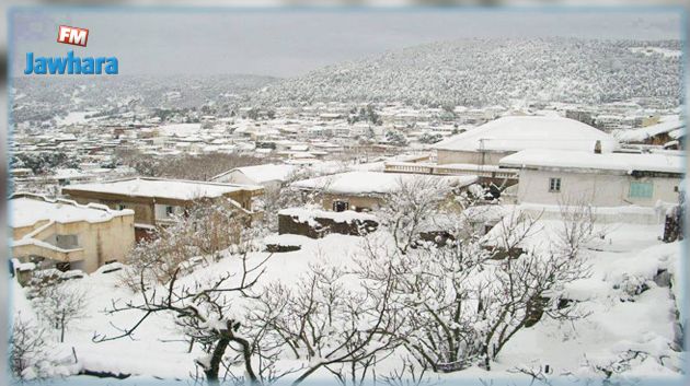 بدء تساقط الثلوج بمرتفعات جندوبة