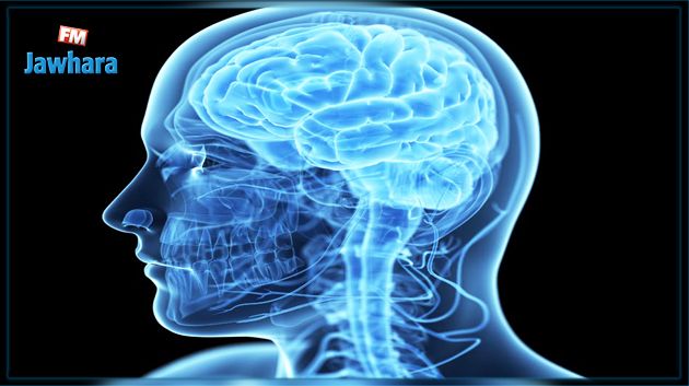 لأول مرة في التاريخ.. زرع جهاز في الدماغ لتقوية الذاكرة 
