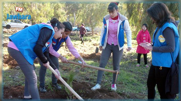 نابل : جمعيات تعيد تشجير المساحات المحروقة بجبل