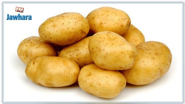 أسعار البطاطا ستتراجع في الايام القادمة