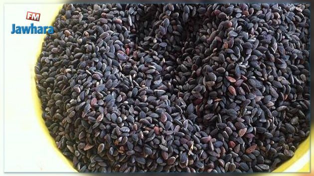 وزير التجارة : أسعار 'الزقوقو' في انخفاض