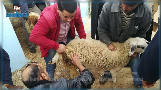 السواسي : تسليم مشروع لطفل مغادر للإصلاحية