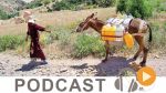   كلام قياس ليوم الإثنين 25 ديسمبر 2017
