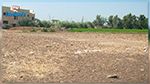 المنستير : تسليم 6 عقود تمليك لأراضي فلاحية