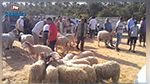 توزر : 900 ألف دينار لتهيئة سوق الدواب