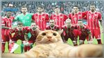الإتحاد الأوروبي يفتح تحقيقا مع بشكتاش التركي بسبب قطة