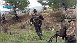 في مرتفعات القصرين : الجيش ينجح في إبطال مفعول ألغام