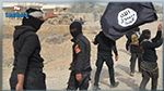 بدرة ڤعلول‎ : تركيا وقطر وراء عودة 