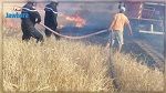 الكاف : حريق ضخم يأتي على 100 هكتار من حقول القمح