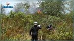 القيروان : اندلاع حريق بجبل 