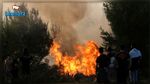 أكثر من 20 قتيلا في حرائق غابات باليونان
