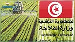 وزارة الفلاحة تقدم منحة لأساتذة مؤسسات البحث والتعليم العالي الفلاحي