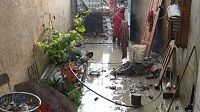 بنزرت : معاناة عائلة غمرت مياه الأمطار منزلها
