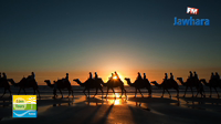 سافر و دور مع Eden Tours
