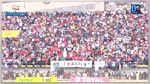 حالة وفاة و إصابة 37 شخصا قبل إنطلاق مباراة مدغشقر و السنغال