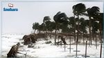 سيضرب هذه البلدان : اعصار متوقع سيكون الأعنف و الأقوى هذا العام