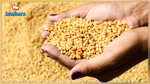 تونس تطرح مناقصة دولية لشراء القمح والشعير