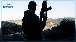 وزير الدفاع الوطني : 'عشرات الإرهابيين' مازالوا متواجدين بالمرتفعات الغربية